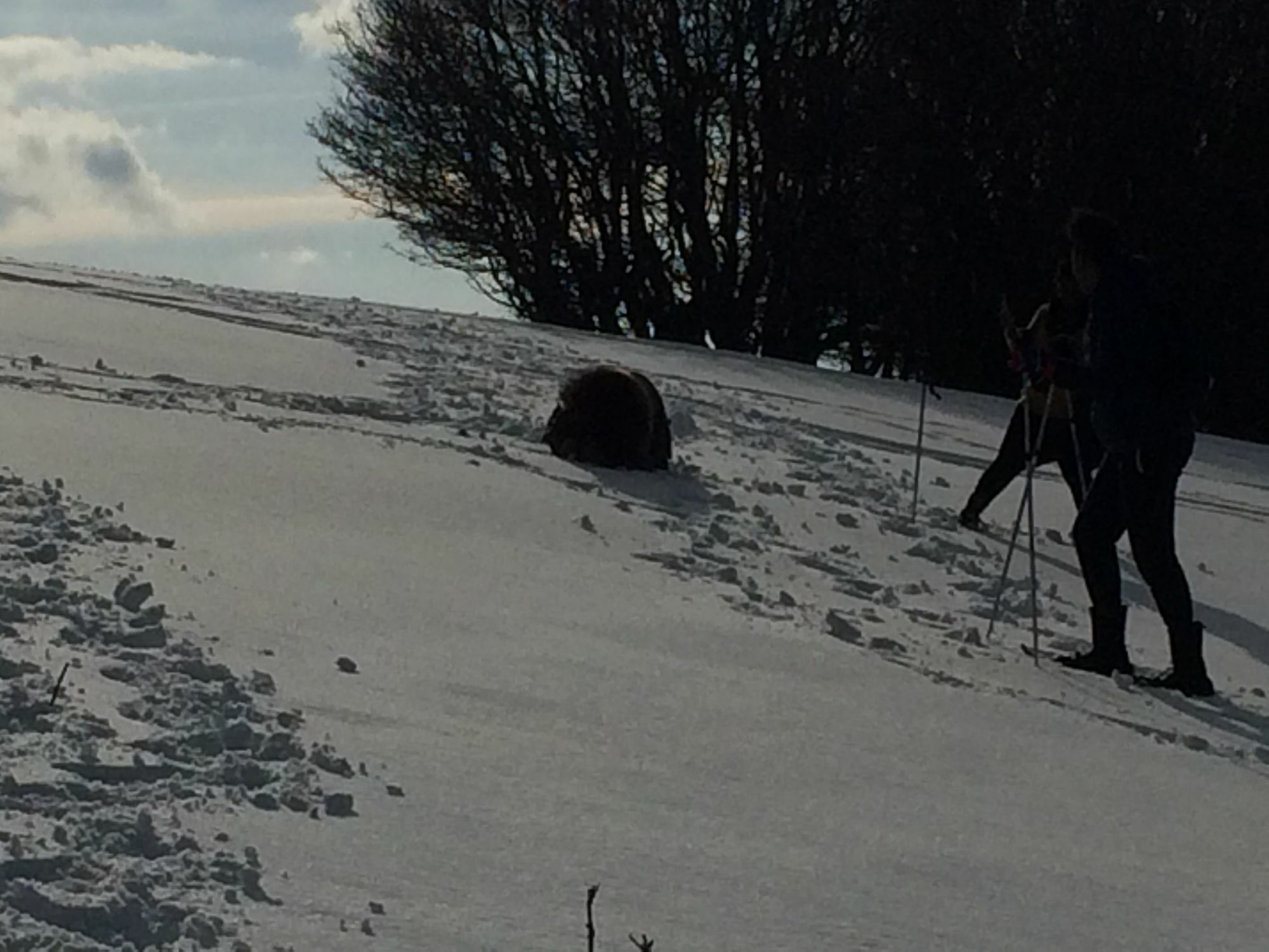 Gite De L'Ours La Bresse Zewnętrze zdjęcie